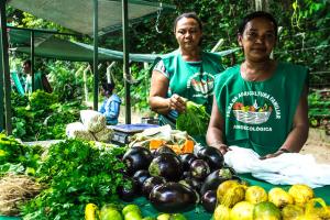 Feiras agroecológicas levam alimentos sem veneno para lares paraibanos Feiras agroecológicas levam alimentos sem veneno para lares paraibanos