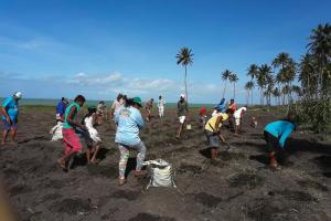 Na PB, comunidade tradicional Praia de Oitero se mobiliza para evitar despejo Na PB, comunidade tradicional Praia de Oitero se mobiliza para evitar despejo