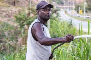 Índios, quilombolas e trabalhadores são os que mais perderam direitos Índios, quilombolas e trabalhadores são os que mais perderam direitos