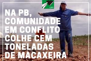 Na Paraíba, comunidade em conflito colhe cem toneladas de macaxeira