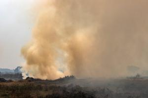 Pantanal vive pior crise de queimadas dos últimos anos