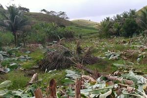 Violência contra famílias posseiras em terras da falida usina Frei Caneca, em Jaqueira, Mata Sul de Pernambuco