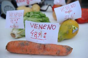 Campanha Contra os Agrotóxicos chama mobilização contra Pacote do Veneno