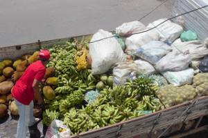 Movimentos do campo realizam doação de alimentos em Maceió pela passagem do Dia do Trabalhador e da Trabalhadora