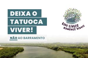 Campanha visa recuperar o rio Tatuoca no município de Ipojuca